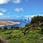 Un proyecto de conservación de la flora de Famara, finalista nacional por su valor ecológico